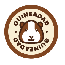 guineadad.png