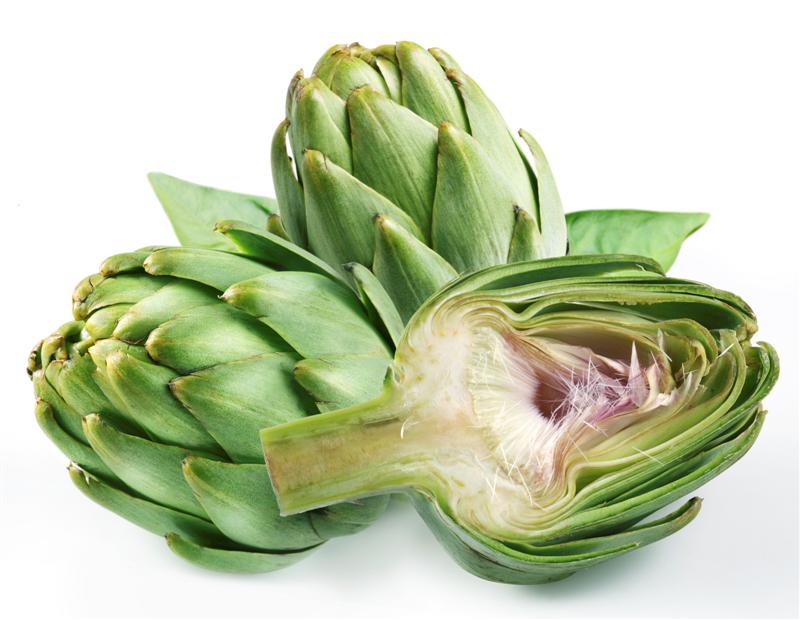 artichoke.jpg artichoke.jpg
