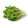 endive_salat.jpg
