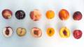 stonefruit_cut.jpg