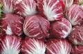 radicchio.jpg
