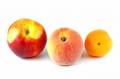 nectarine-peach-apricot.jpg