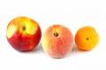nectarine-peach-apricot.jpg