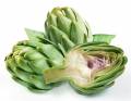 artichoke.jpg