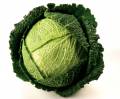 savoy_cabbage.jpg