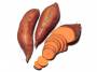 files:images:graenmeti-avextir:sweet-potato.jpg