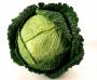 files:images:graenmeti-avextir:brassicaceae:savoy_cabbage.jpg